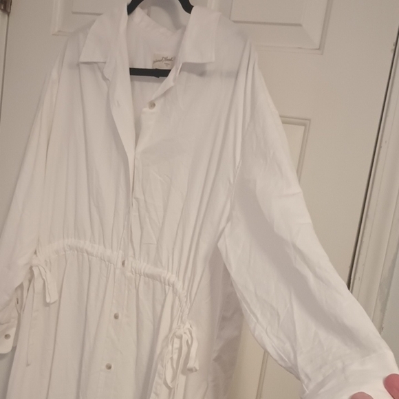 Universal Thread Classic White Button-Down Dress - Picture 4 of 12